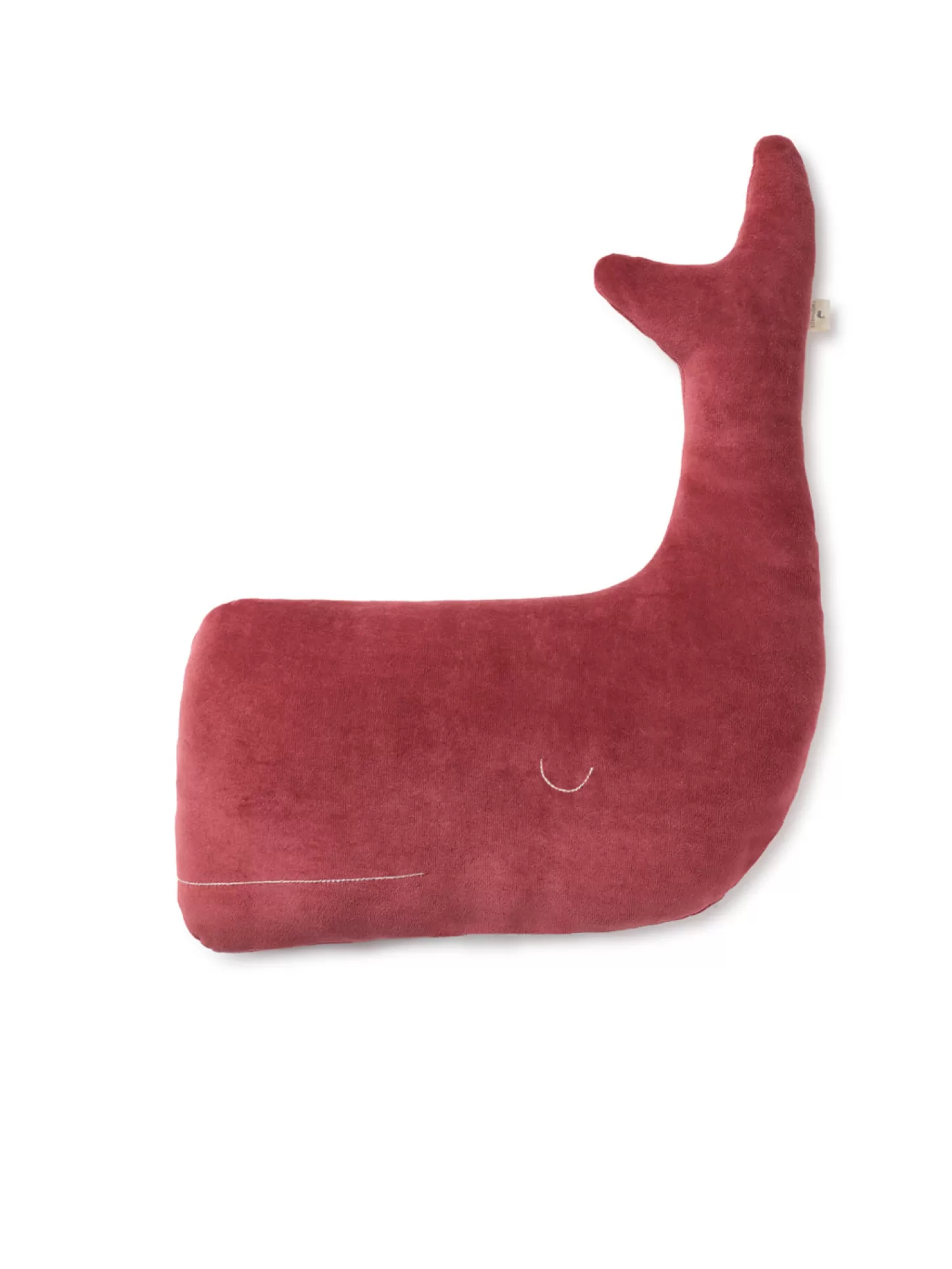 Store Teddy Whale Kids Accessories