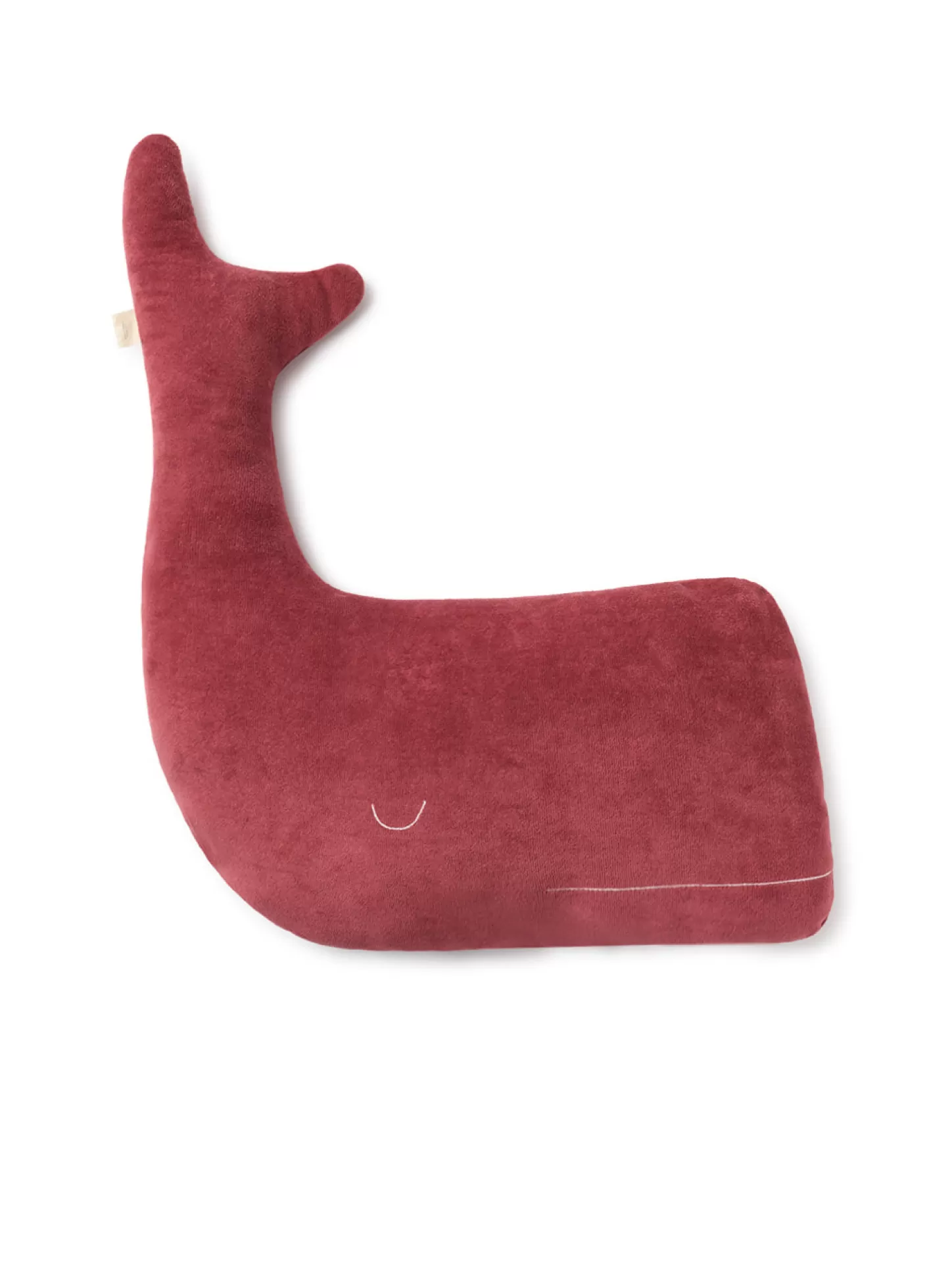 Store Teddy Whale Kids Accessories